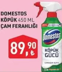 DOMESTOS KÖPÜK ÇAM FERAHLIĞI ÇAMAŞIR SULU 450 ML fiyat ve kampanya bilgisi